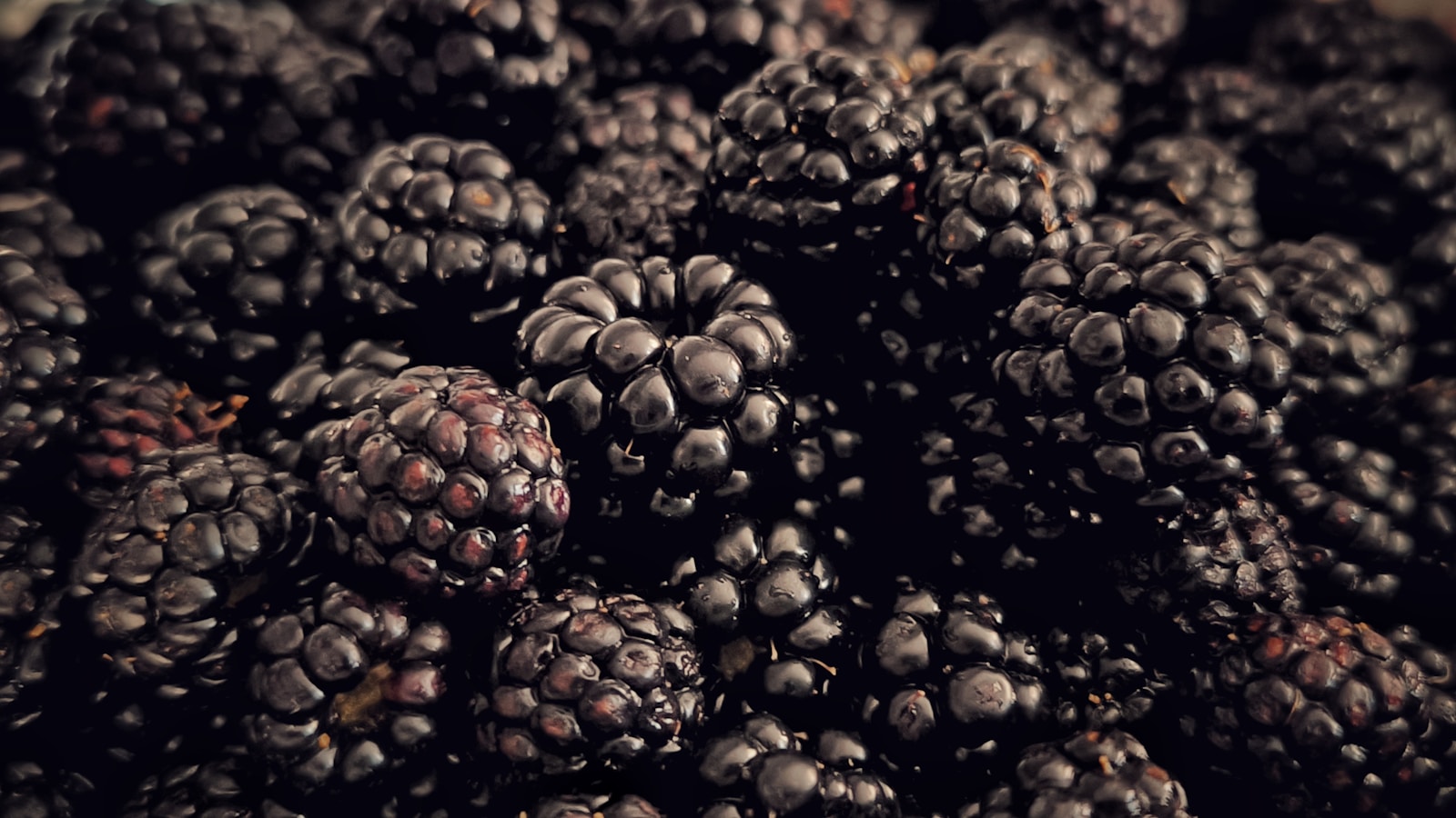 A pile of blackberries sitting on top of a table