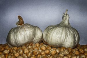 food, garlic, chickpeas, vegetables, kitchen, fresh, cooking, organic, vegetarian, blue food, blue kitchen, blue cooking, blue vegetables